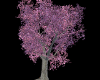(VS)Cherry Blossom Tree