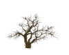 (ED1)Trees-3 |dead