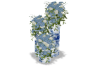 Flower polls