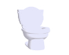 Toilet White