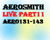 Aerosmith live11