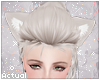 ✨  Cotton Cat Ears