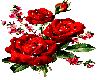 (G) Trio of red roses
