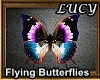 Magic Butterflies Flying