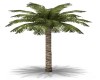 ANIMATED PALM TREE #2