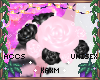 ꨄBlossom Rosesꨄ