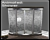 Adelphi Animated Shower