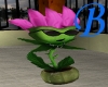 [B] Animated Flower