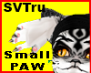Small Paw SVT