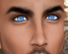 Piercing Blue Wolf eyes