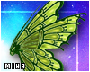 [M] Fairy Wings Green