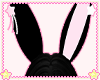 ♡ bunni ears