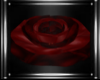 [Trigger]Rose