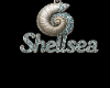 shellsea