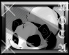 (MV) MoCa Panda
