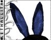 Dark Blue Bunny Ears