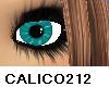 *Calico* Seaside Eye