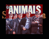 the animals poster
