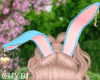 C~Bunny Blue Ears