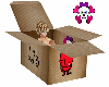 Liz's brb box