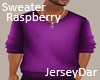 Winter Sweater Raspberry