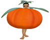 pumpkin costume