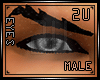 .2U. Gray Eyes Male 