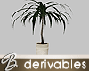 *B* Decorative Plant