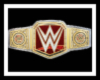 raw Title belt