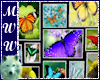 16 Butterfly Pic Collage