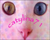 catylina71