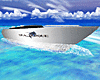 Sea Torque Speed Boat