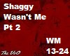 Shaggy - It Wasn't Me