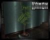 MK| Sakura Bamboo