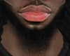 Asteri Beard #017