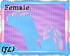 {FL}Tranz Paws