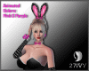 IV. Sexy Bunny Bundle