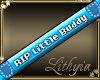 {Liy} RIP Little Buddy