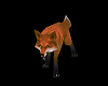 RENARD  ANIME