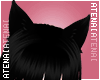 ❄ Kitty ear Black