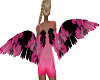 Pink n Black wings