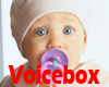 VB Cute Toddler VoiceBox