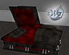 Vamp Couple Coffin