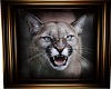 Cougar #5
