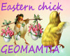 2 Eastern chick filler