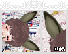 .:E:. Totoro Ears