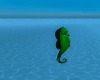 Animated Seahorse