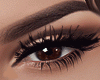 Sexy Lashes