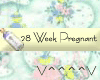 28 Weeks Pregnant (y)