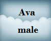 Base Ava male